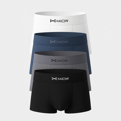 Frost Boxer Pro™ – Silk Ice Thermal Boxers – [BUY 6, GET 12]